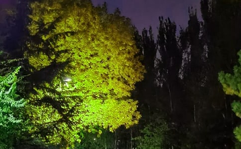 2021�꽛(j��ng)���ů���������Z���źϼ�85��