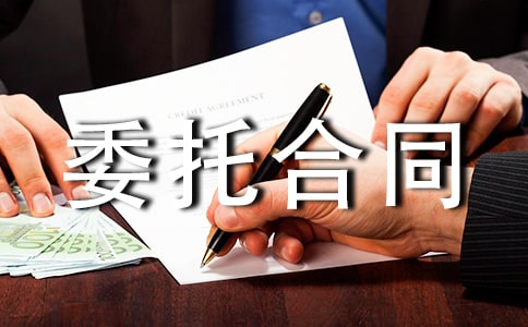 項目策劃委托合同3篇