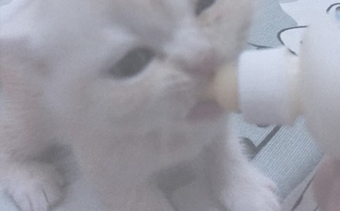 新生兒吃多少奶粉 寶媽喂奶粉需要注意什么