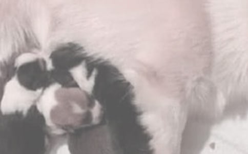 嬰兒喂奶時間 新生兒科學(xué)喂奶時間