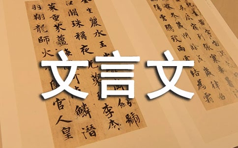 ��ţ�Ƶ������������ȫ