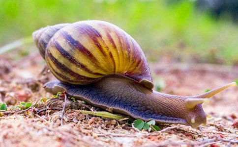 ��΁ţ�Ī�(ji��ng)�����̺�˼