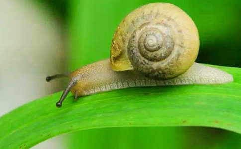 ΁ţ��õ������