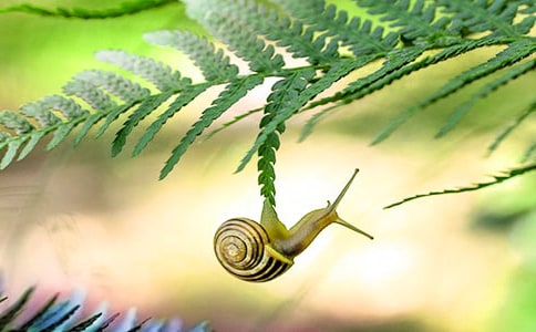 �����]����Ȥ��΁ţ����15ƪ