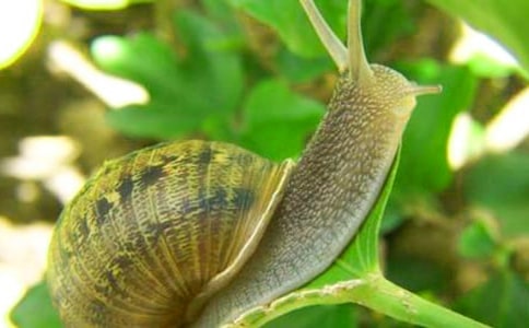 �^��΁ţ������