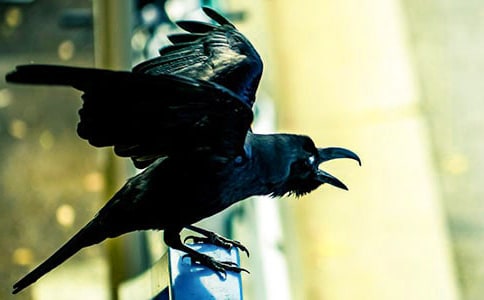 �m(x��)�������f��ˮ��