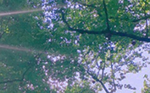 2024�����õ��簲���Z�����\��97�l