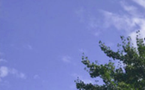 ��ů���簲�����Z���ŅR��34�l