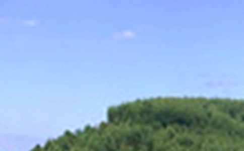 2024���簲�����Z���ŅR��30��