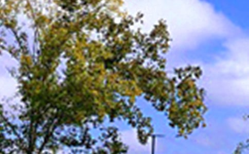 �P(gu��n)�ڄ�־�簲���ŅR��70��