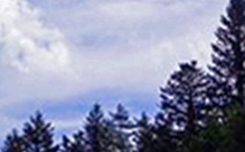 ���õ��簲�����Z����ժ�88��