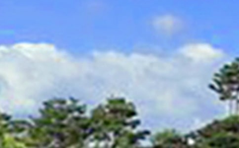 ���õ��簲���Z(y��)����46��