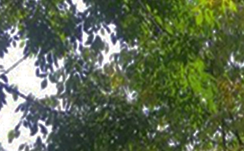 ��ܰ���簲�����Z���Ŵ�ϼ�76��