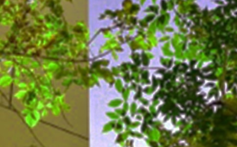 唯美的午安心語短信33條