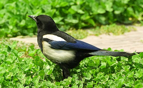 ���꼉(j��)������(sh��)�ϵ�ϲ�o����