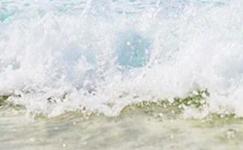 �P(gu��n)������Ĺ�Ԋ(sh��)