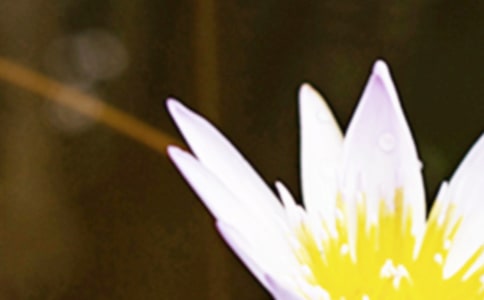 ����ף���Z(y��)���ů�Ķ���