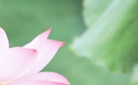 �V�|������(ji��)���ʲô