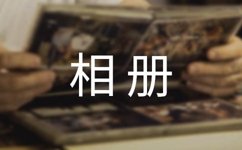 �Ǳ���������