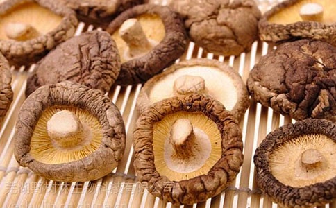 �㹽�u���������