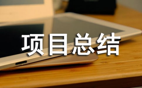 項目總結(jié)報告(通用20篇)