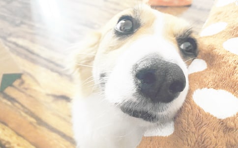 ��С��������400�֣�ͨ��53ƪ��