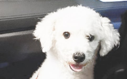 С����(y��u)������7ƪ