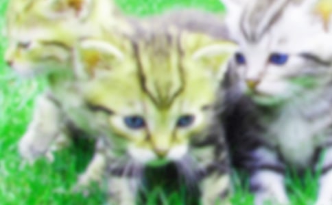 �����x���ɐ�(��i)��С؈����400��4ƪ