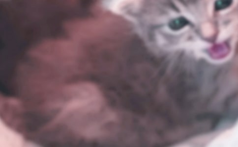 �Ҽҵ�С؈���ģ���(y��u)�㣩