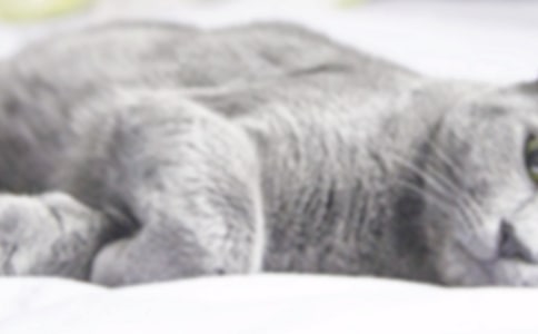 �ɐ۵�С؈����