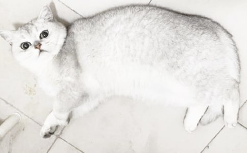 С؈���ă�(y��u)��