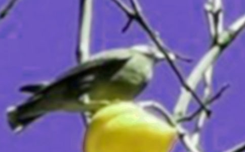 ����С�B����[ͨ��]