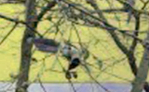 ��С�B���D��Ԓ��(y��u)�㣨15ƪ��