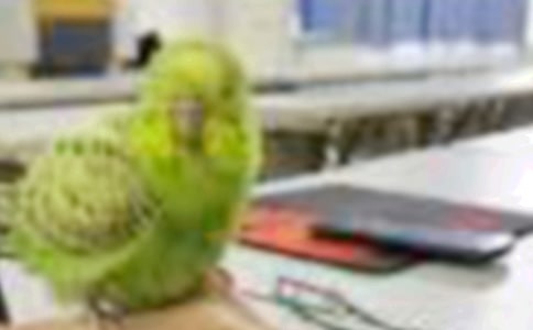 ����׃��С�B������ͨ��