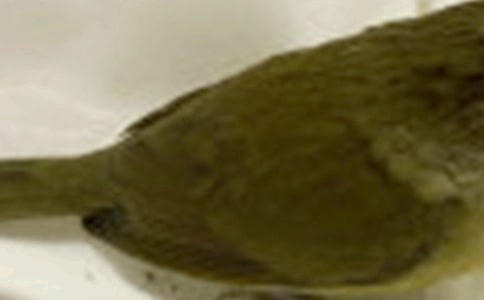 ���]����С�B(ni��o)���D��Ԓ