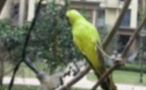 �w�ɣ�С�B����