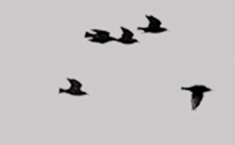 �oС�B��һ����