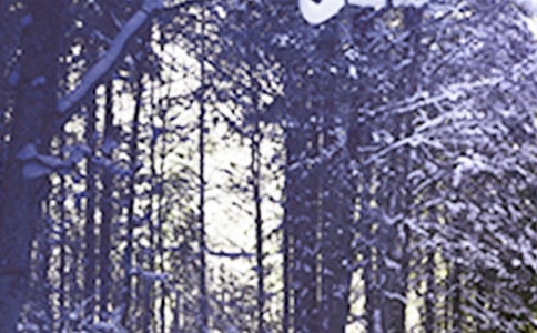 Сѩ��(j��ng)�䆖�����