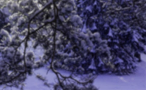 Сѩ��ɢ��Ԋ