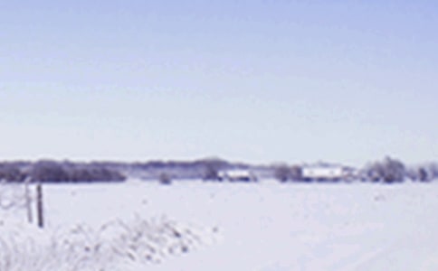 �P(gu��n)��Сѩ��������ӣ����x185�䣩