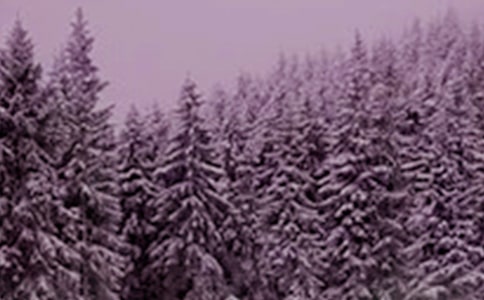 Сѩ��(ji��)��ף������