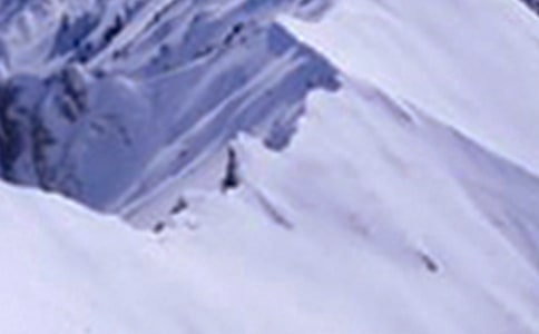 �����x������ѩɽ����