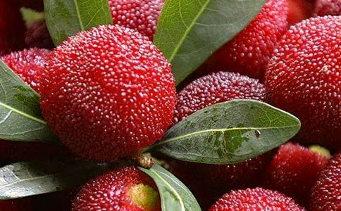 ��÷�Ĺ�Ч�c����