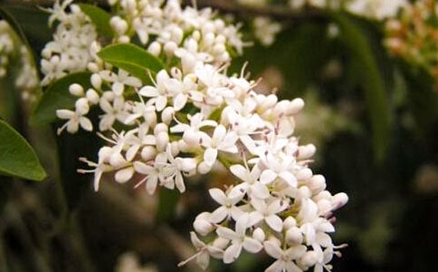 ҹ��������[��(y��u)��]