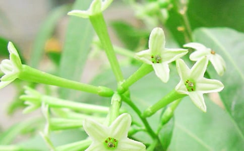 ҹ�������ľ��A[13ƪ]