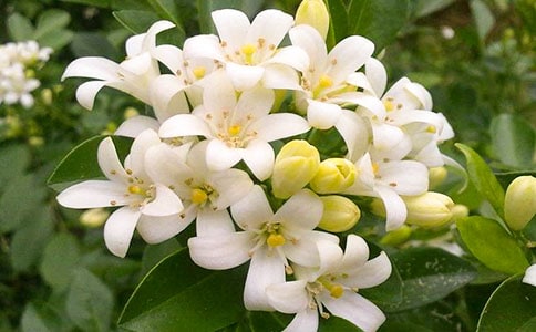 ҹ��������ͨ�ã�7ƪ��