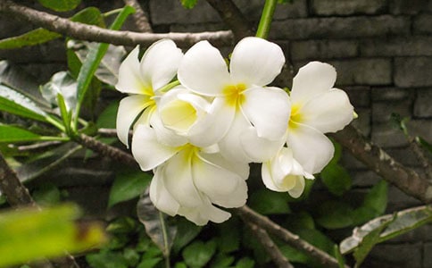 (��(y��u)��)ҹ��������