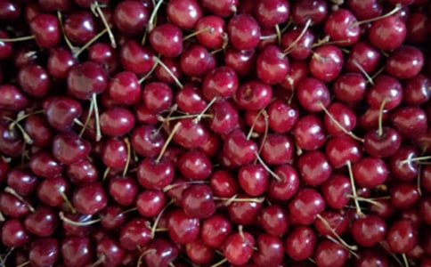 �R���ɡ�������M���wȥԭ��,���g,�p��