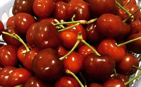 ժ�������ľ��x��15ƪ��