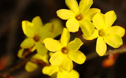 ��Ҋӭ��������(���A)